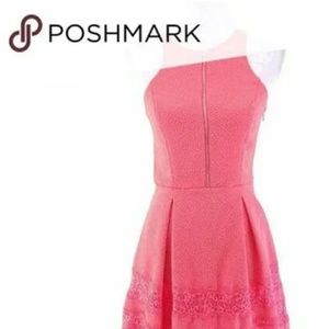 Express Lace Coral Cocktail Dress